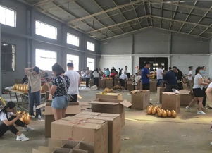 720华日厂购会,我们准备好了